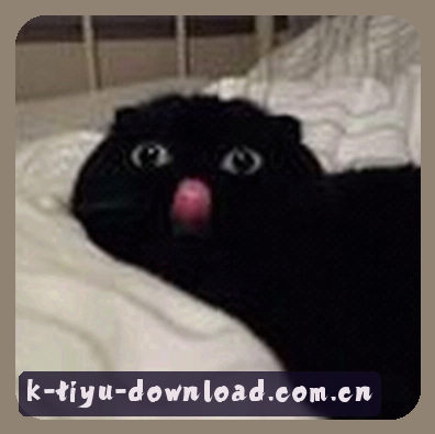 张磊